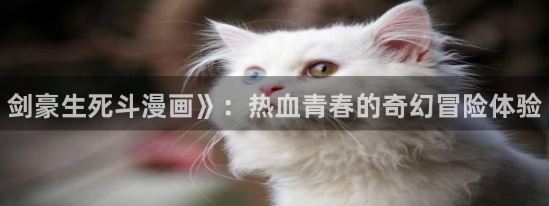 好看韩漫在线看：剑豪生死斗漫画》：热血青春的奇幻冒险体验