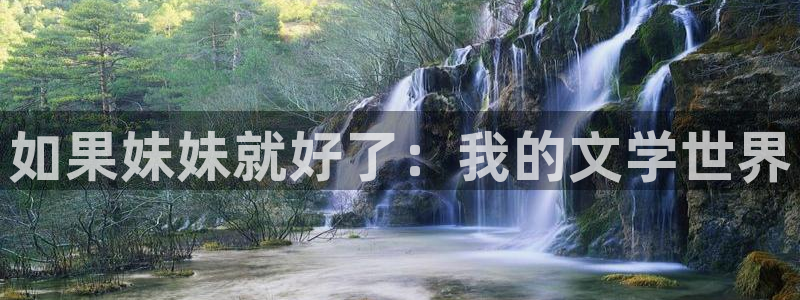 免费bl韩漫网站：如果妹妹就好了：我的文学世界