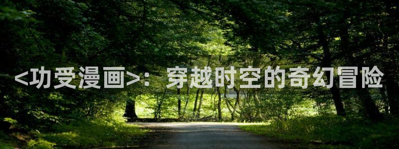 韩漫双男主无删减网站：<功受漫画>：穿越时空的奇幻冒险