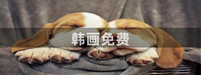无删减韩漫免费观看：韩画免费