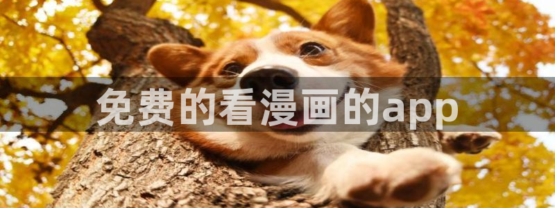韩漫免费在线播放：免费的看漫画的app