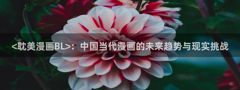 韩漫网页版：<耽美漫画BL>：中国当代漫画的未来趋势与现实挑战