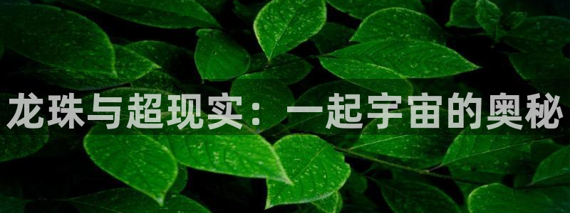 重考生韩漫免费看：龙珠与超现实：一起宇宙的奥秘