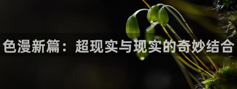 邻居人妻韩漫免费看：色漫新篇：超现实与现实的奇妙结合
