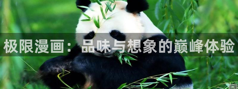 yy韩漫在线观看免费