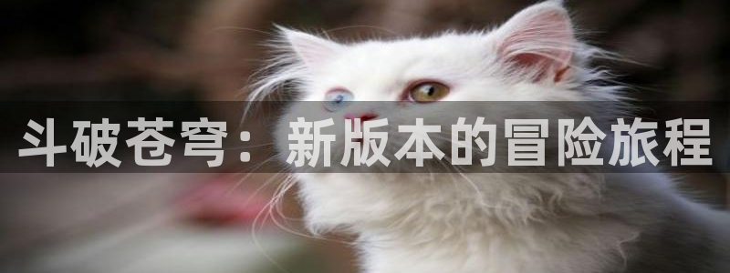 韩漫下拉式漫画免费观看