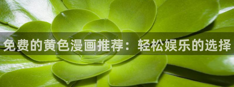 继母韩漫在线观看