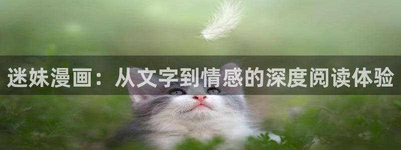 哪里可以在线观看免费av韩漫