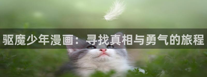 韩漫双男主漫