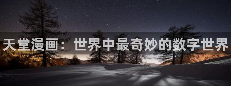 歪歪漫画韩漫登录首页：天堂漫画：世界中最奇妙的数字世界