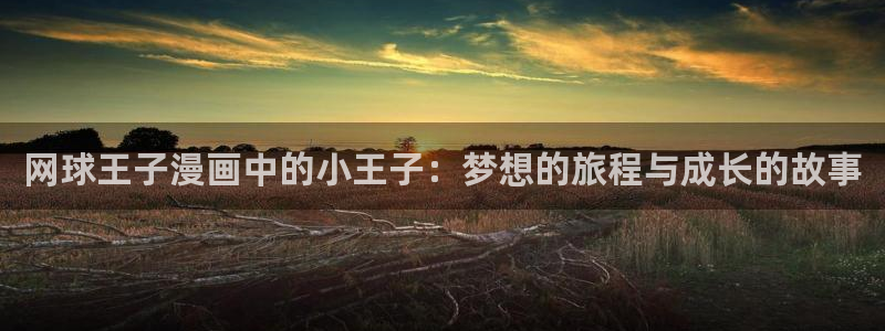 日韩漫画在线阅读：网球王子漫画中的小王子：梦想的旅程与成长的故事