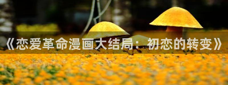 韩漫画入口免费观看：《恋爱革命漫画大结局：初恋的转变》