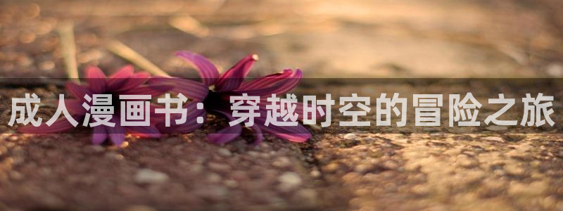 韩漫魔咒动漫：成人漫画书：穿越时空的冒险之旅