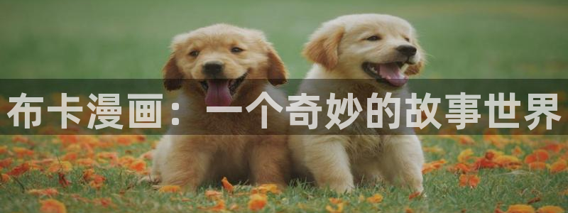 h韩漫在线观看免费：布卡漫画：一个奇妙的故事世界